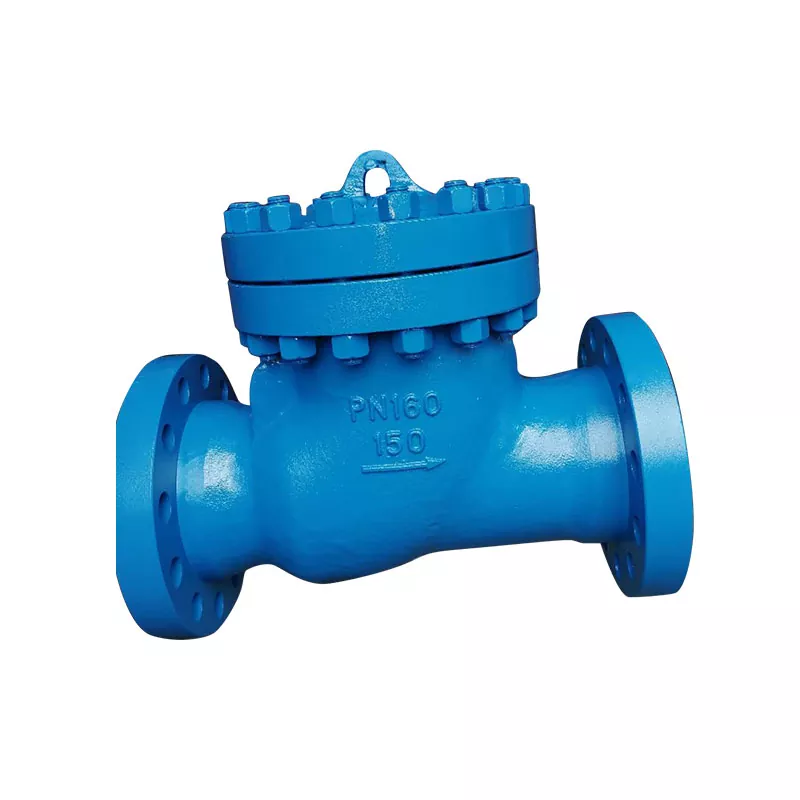 Cast Steel Check Valve